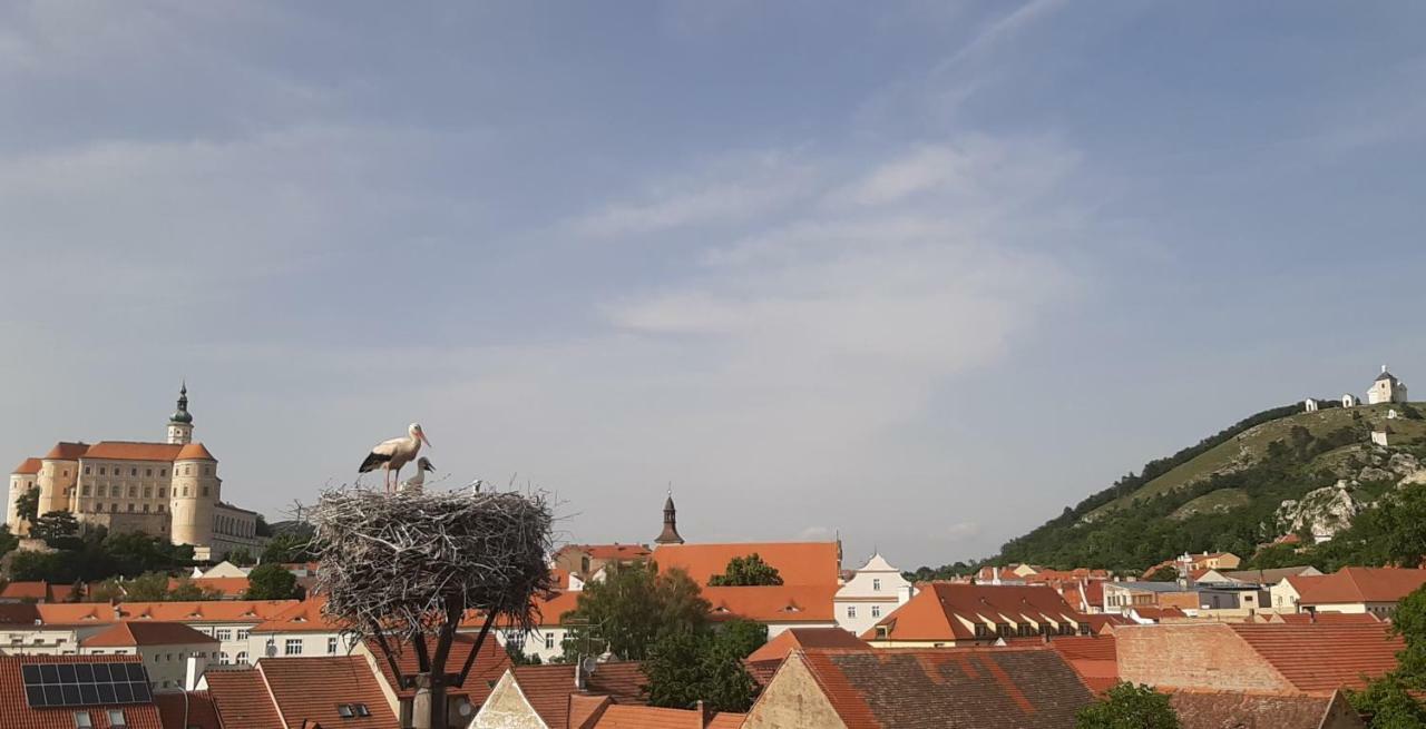 Penzion Cap Mikulov Kültér fotó
