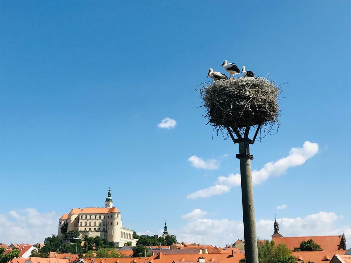 Penzion Cap Mikulov Kültér fotó